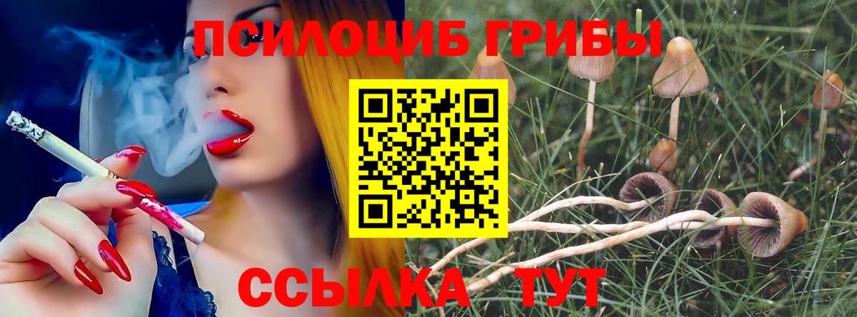 Бутурлиновка  Псилоцибиновые грибы GOLDEN TEACHER  Вход с VPN 