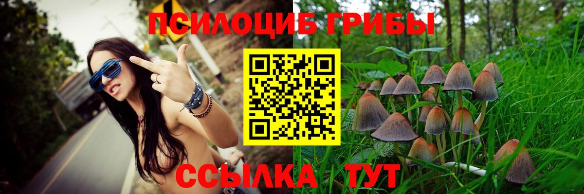 Псилоцибиновые грибы мицелий Бутурлиновка